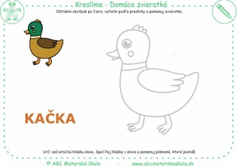 Domáce zvieratká