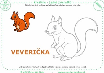 Lesné zvieratká