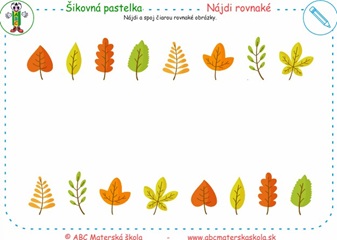 Nájdi rovnaké - Nájdi a spoj čiarou rovnaké obrázky.