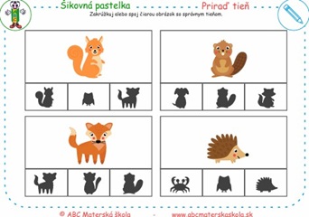 Priraď tieň Zakrúžkuj alebo spoj obrázok so správnym tieňom.