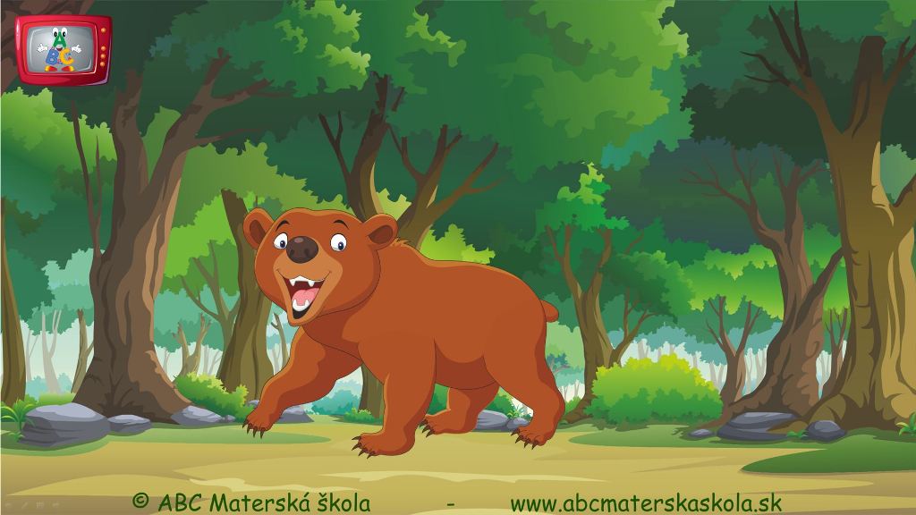 Medveď hnedý 